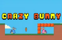 Crazy Bunny game thumbnail