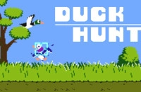 Duck Hunt game thumbnail