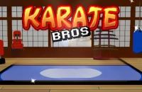 Karate Bros game thumbnail